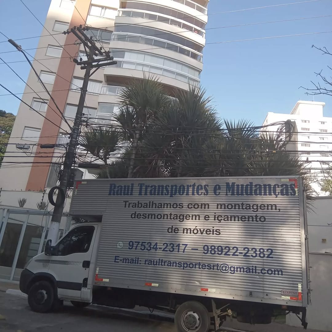 Caminhão-baú da Raul Transportes estacionado, exibindo a frota